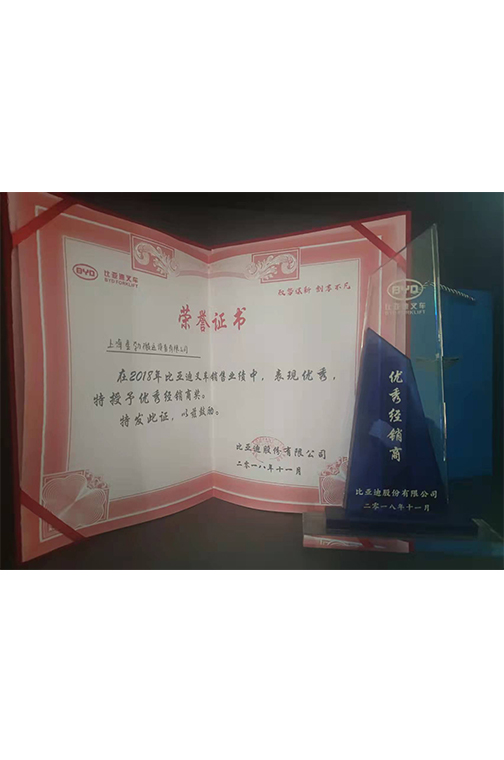 嘉定区比亚迪2018优秀经销商
